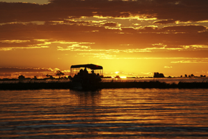 Boat Cruise on Chobe River